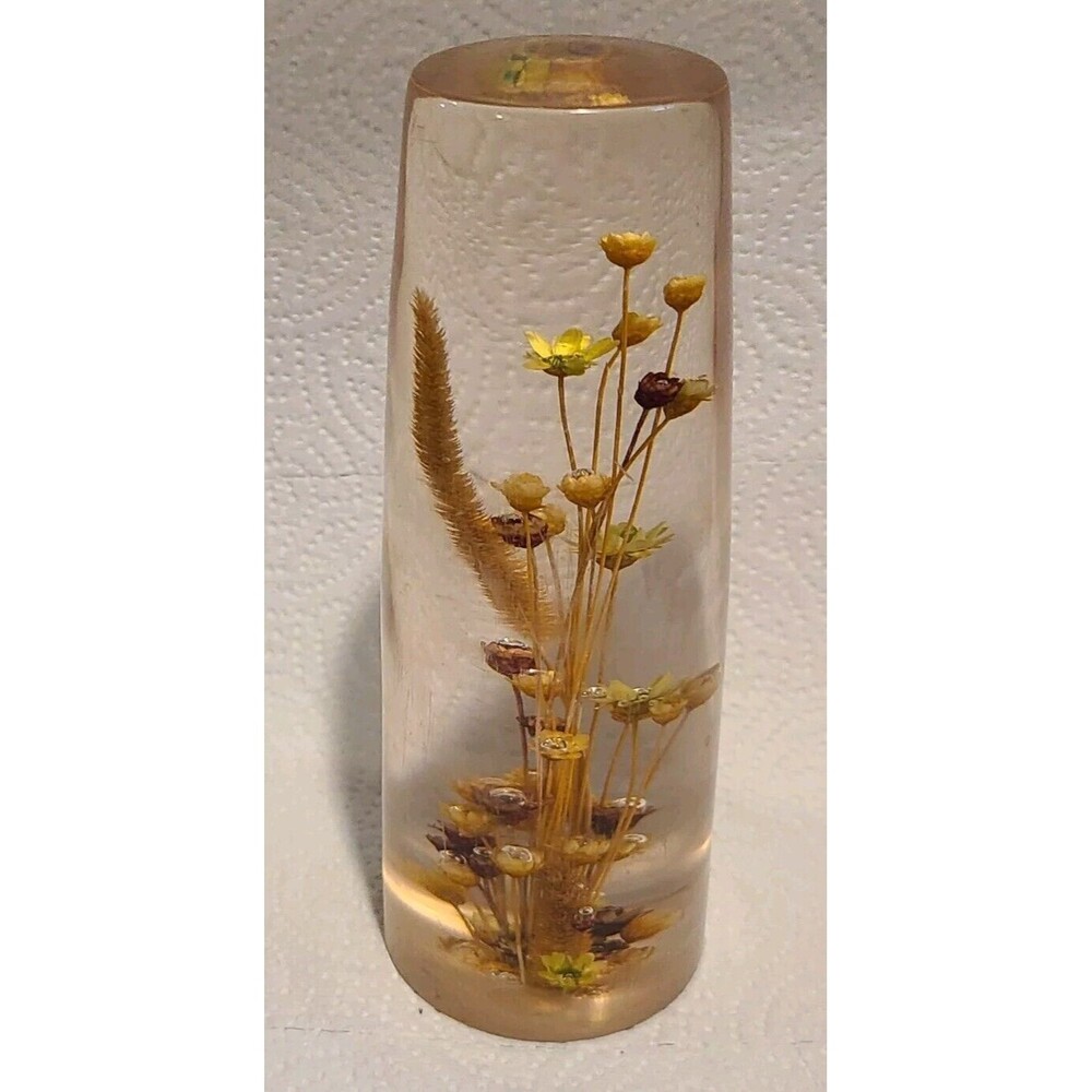 Daisyglas Lucite Real Dried Flowers Paper Weight MCM Decor Hand Crafted Vintage